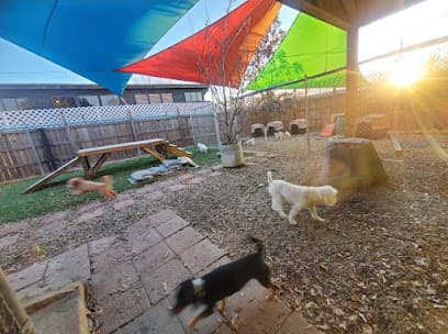 Dog Grooming Marietta