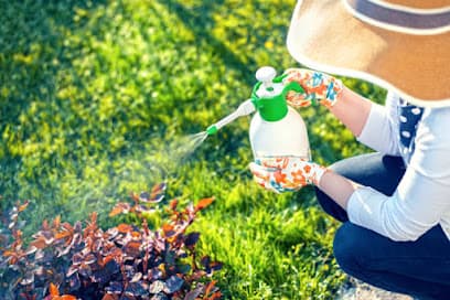 Reliable Marietta Pest Control